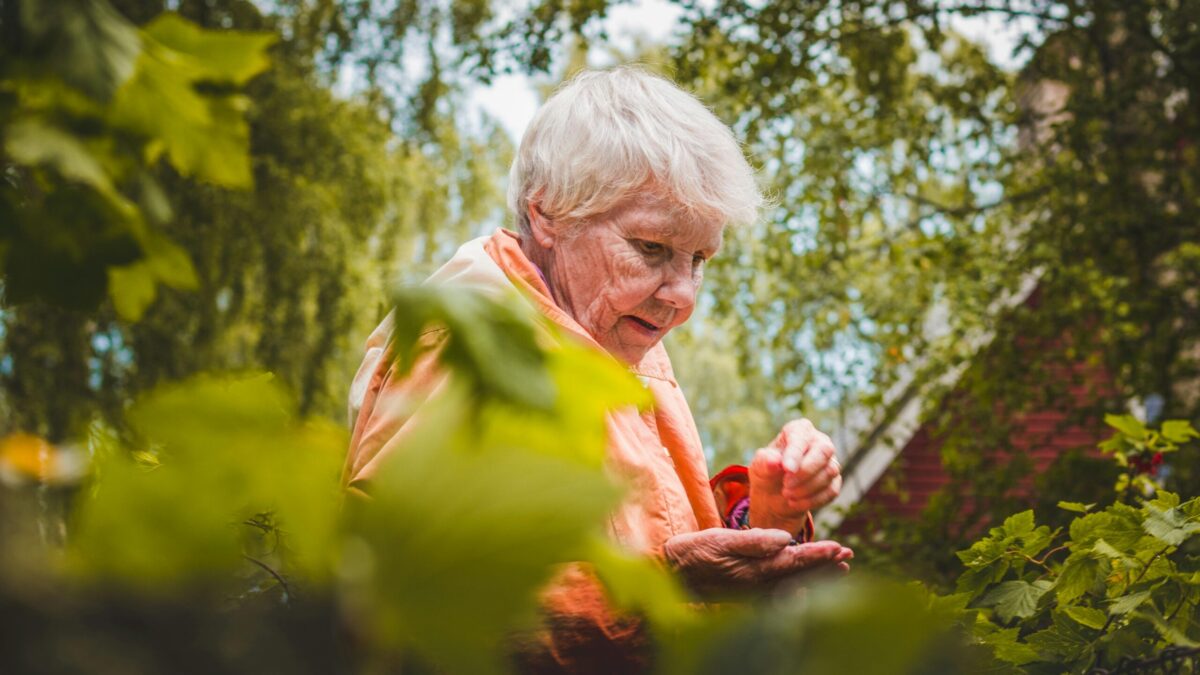 The Connection Between Allergies and Aging