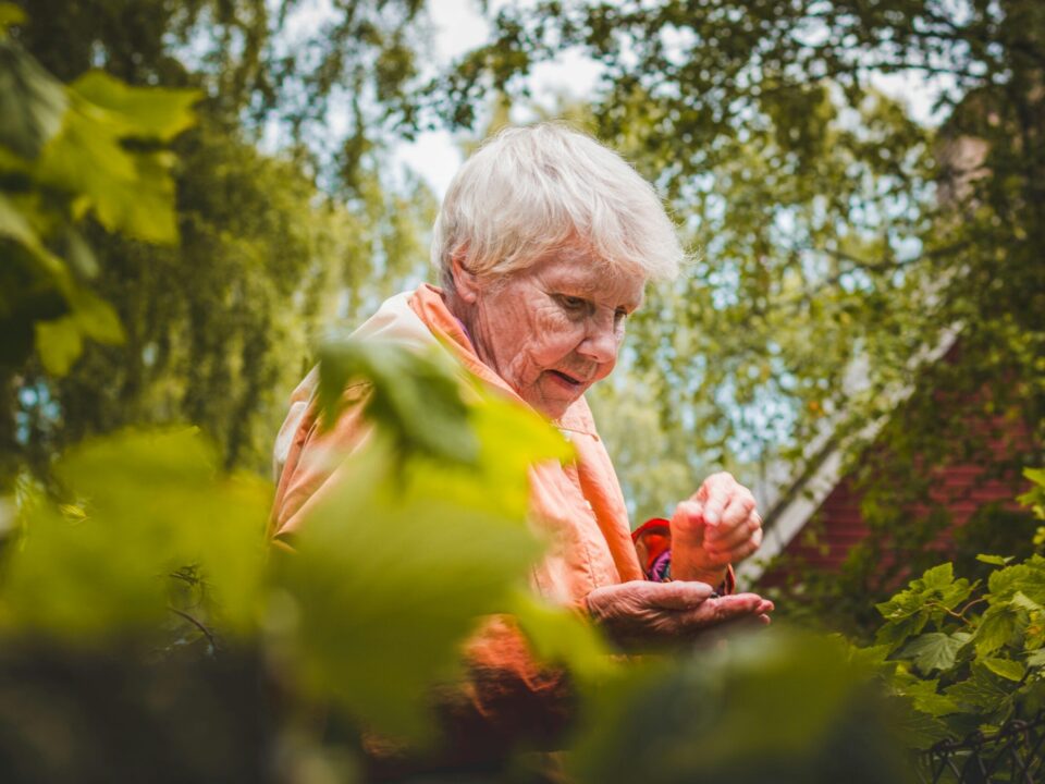 The Connection Between Allergies and Aging