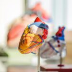 How Cardiology Research is Shaping Future Treatments