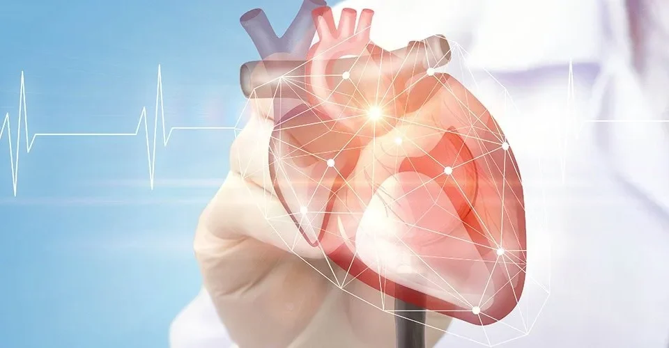 Common Conditions Treated by Heart Doctors