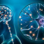 Services That a Neurology Expert Offers